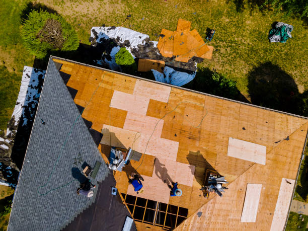 Best Roof Gutter Cleaning  in Moncks Corner, SC